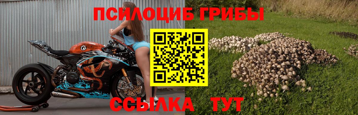 Галлюциногенные грибы мицелий  Галлюциногенные грибы Psilocybe  Вход с VPN  Стерлитамак 